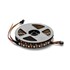 Picture of LED Digital Strip 10 Pixels IP20 7W/M, Picture 1